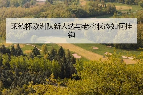 lai-de-bei-ou-zhou-dui-xin-ren-xuan-yu-lao-jiang-zhuang-tai-ru-he-gua-gou-2-509.jpg