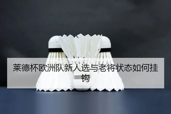 莱德杯欧洲队新人选与老将状态如何挂钩